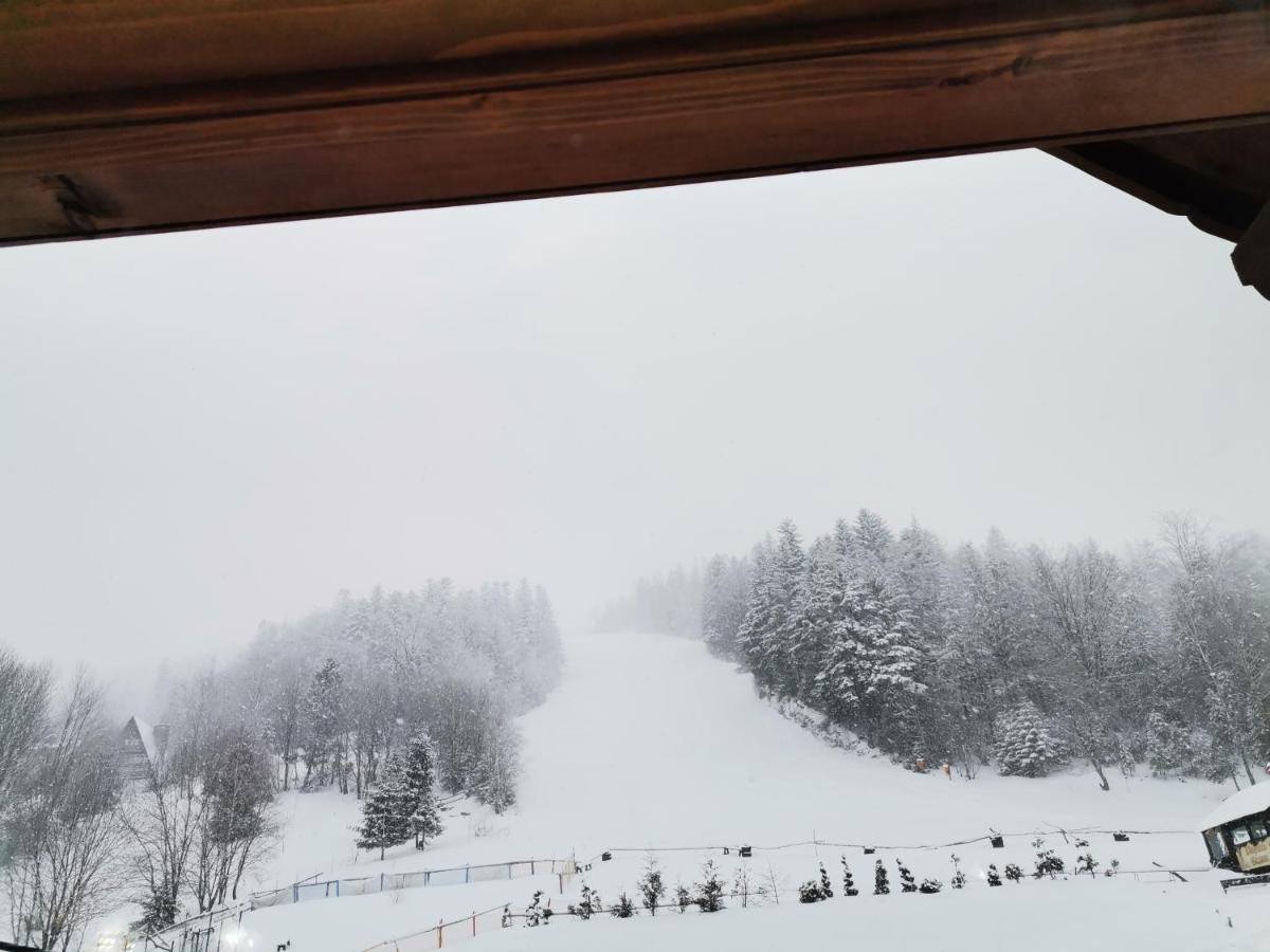 Udany Villa Apartament Szczyrk Bagian luar foto