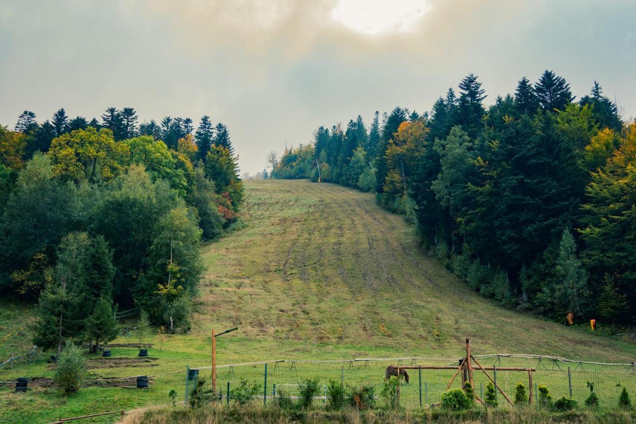 Udany Villa Apartament Szczyrk Bagian luar foto
